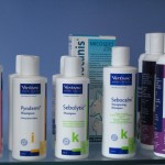 shampoo1